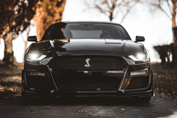 Pure Casino Android/iOS aplikacija